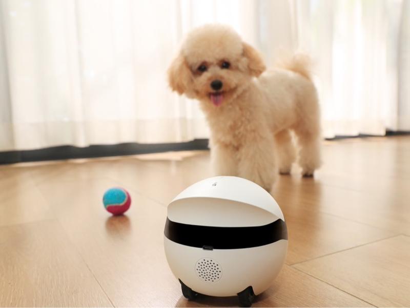 Enabot Ebo ROLA Mini 2K Camera Robot: Moving Pet Camera, Up to 25 Days Battery Life, Built-in Call Button, Two-Way Audio